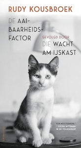 De aaibaarheidsfactor - Rudy Kousbroek (ISBN 9789045040400)