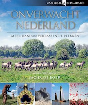 Capitool onverwacht Nederland - Bartho Hendriksen (ISBN 9789000325382)
