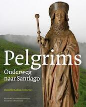 Pelgrims - Dirk Aerts, Martin Kellens, Danielle Lokin, Daniëlle Lokin, Mireille Madou (ISBN 9789040078200)