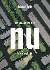 De kracht van het nu in de praktijk - Eckhart Tolle (ISBN 9789020210224)