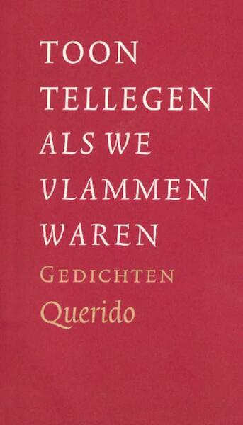 Als we vlammen waren - Toon Tellegen (ISBN 9789021449210)