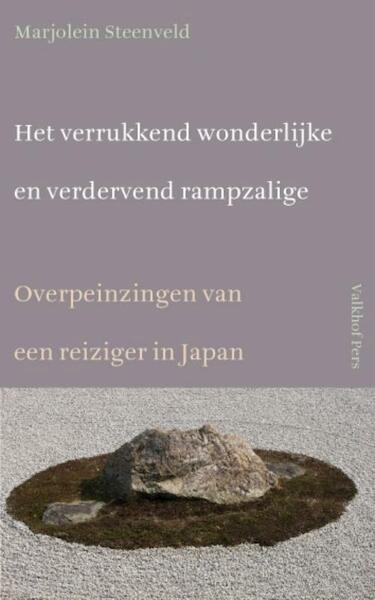 Het verrukkend wonderlijke en verdervend rampzalige - Marjolein Steenveld (ISBN 9789056253578)