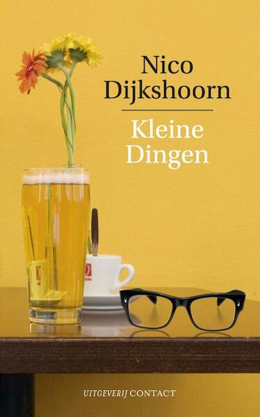 Kleine dingen - Nico Dijkshoorn (ISBN 9789025423780)