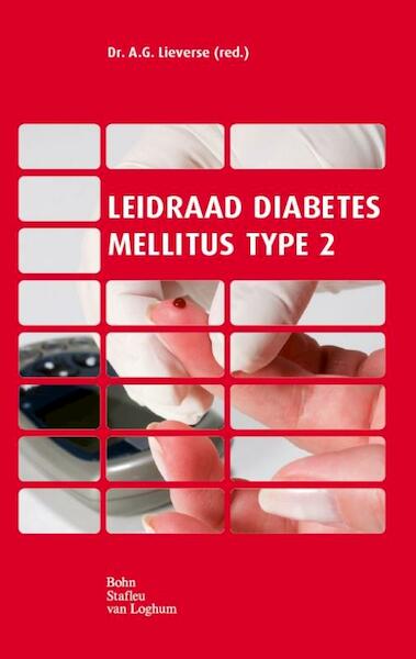 Leidraad diabetes mellitus type 2 - (ISBN 9789031389858)