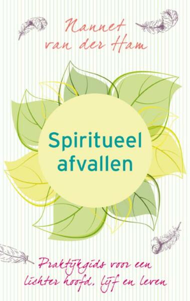 Spiritueel afvallen - Nannet van der Ham (ISBN 9789025901684)