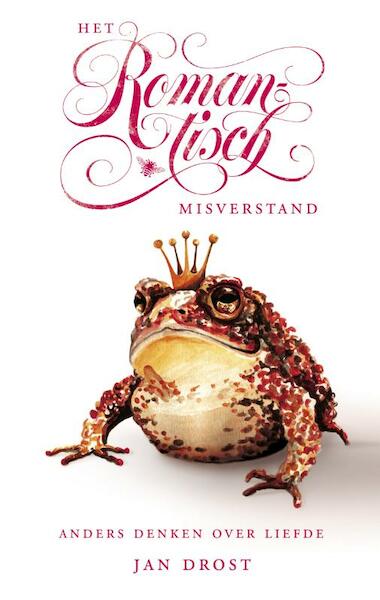 Het romantisch misverstand - Jan Drost (ISBN 9789023458340)