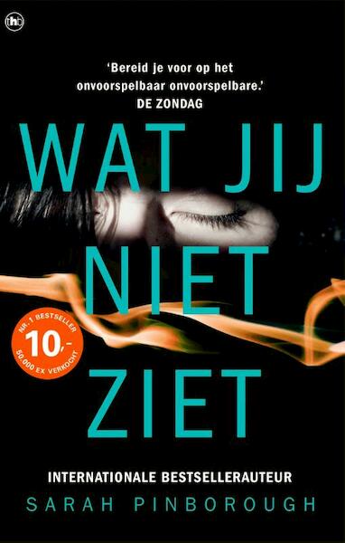 Wat jij niet ziet - Sarah Pinborough (ISBN 9789044353976)