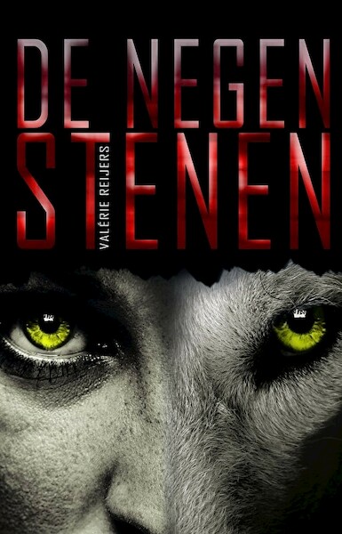 De negen stenen - Valerie Reijers (ISBN 9789463083881)