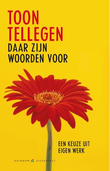 Daar zijn woorden voor - Toon Tellegen (ISBN 9789041740458)