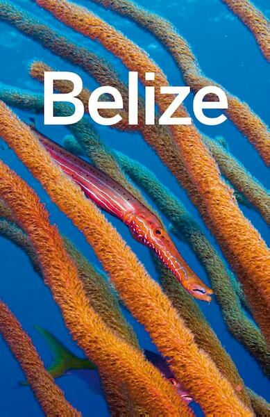 Belize - (ISBN 9781743217894)