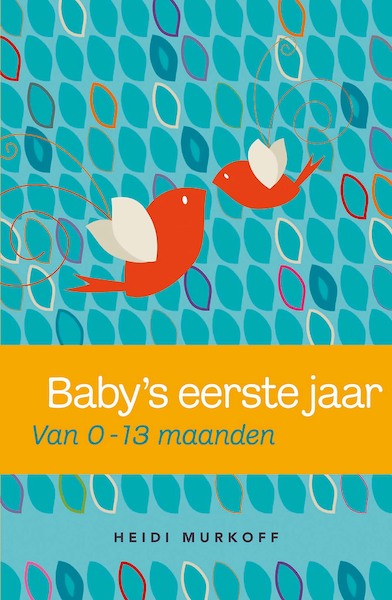 Baby's eerste jaar - Heidi Murkoff (ISBN 9789000305889)