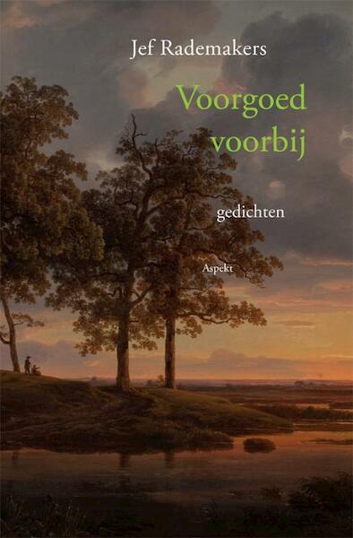 Voorgoed voorbij - Jef Rademakers (ISBN 9789461530356)