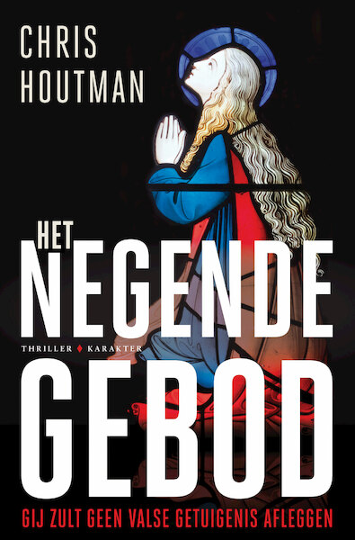 Het negende gebod - Chris Houtman (ISBN 9789045215785)