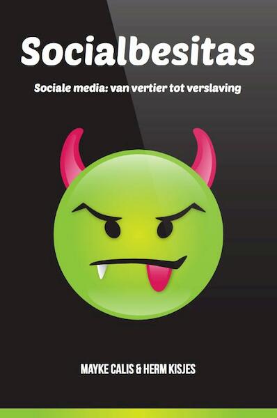 Socialbesitas - Mayke Calis, Herm Kisjes (ISBN 9789490484064)