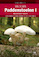 Veldgids paddenstoelen