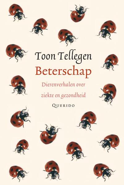 Beterschap - Toon Tellegen (ISBN 9789021434766)