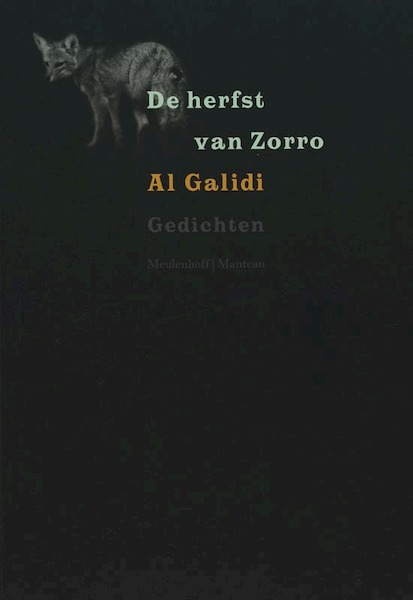 De herfst van Zorro - R.A. Galidi (ISBN 9789085420576)