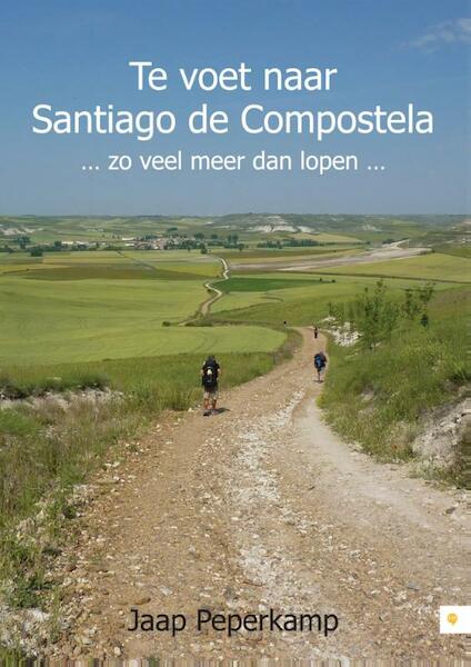 Te voet naar Santiago de Compostela - Jaap Peperkamp (ISBN 9789048431465)