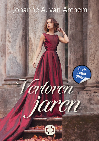 Verloren jaren - Johanne A. Van Archem (ISBN 9789036438186)