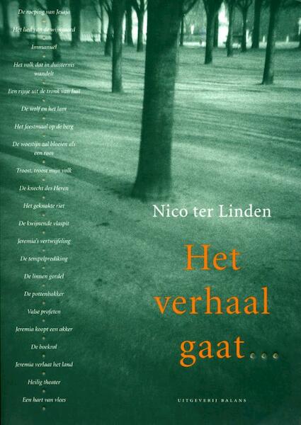 Het verhaal gaat ... 4 Het getuigenis van Israels profeten - Nico ter Linden (ISBN 9789050184946)