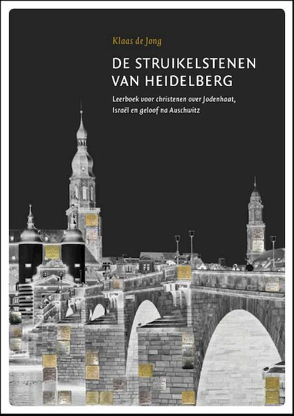 De struikelstenen van Heidelberg - Klaas de Jong (ISBN 9789081891400)