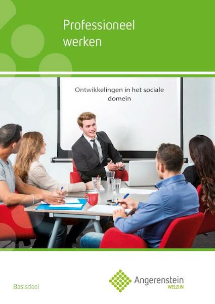 Professioneel werken - (ISBN 9789037223637)