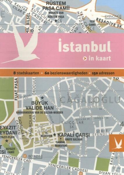 Istanbul in kaart - Julie Subtil, Vincent Noyoux, Caroline Gogry, Gul Ar (ISBN 9789025756574)