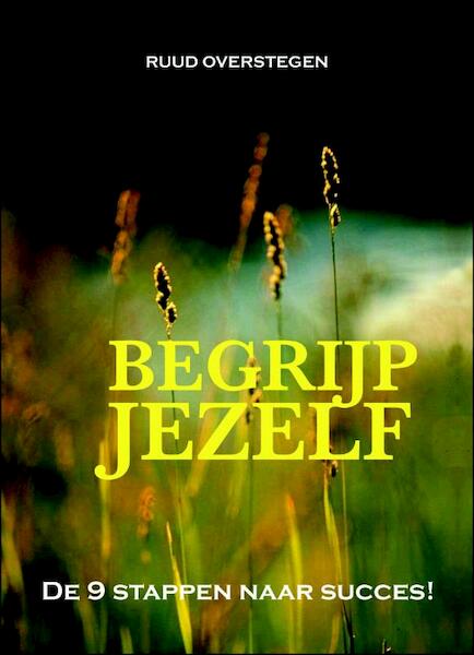 Begrijp jezelf ! - R. Overstegen, Ruud Overstegen (ISBN 9789078264040)