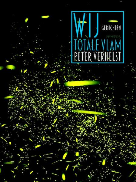 Wij totale vlam - Peter Verhelst (ISBN 9789044625202)