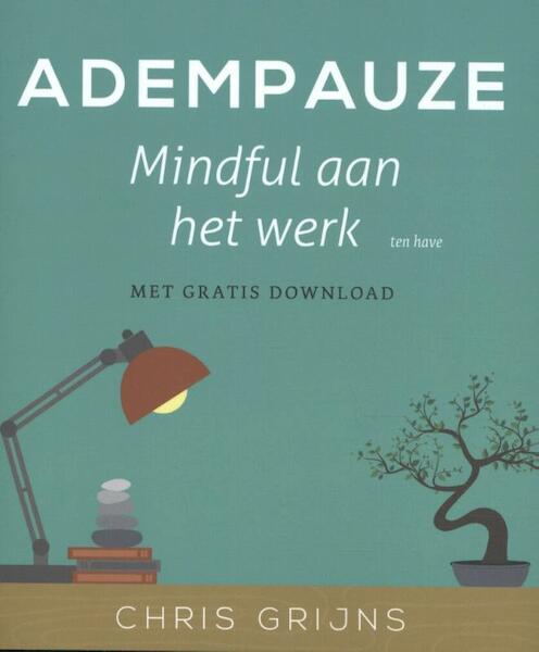 Adempauze - Chris Grijns (ISBN 9789025907037)