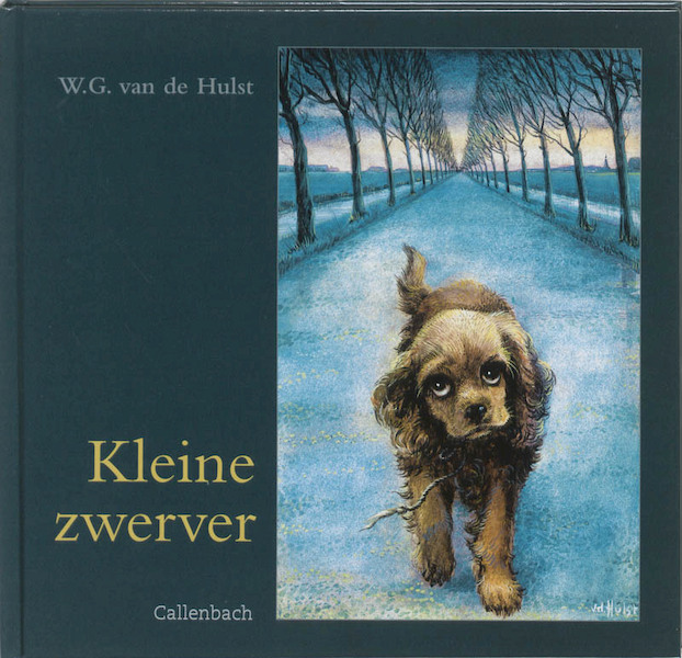 Kleine zwerver - W.G. van de Hulst (ISBN 9789026642500)