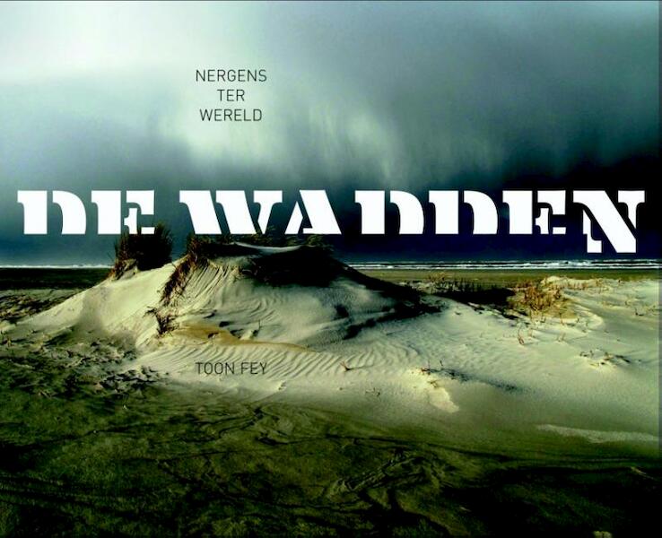 De Waddenzee - Toon Fey (ISBN 9789055947799)