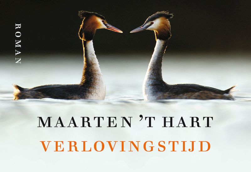 Verlovingstijd - Maarten 't Hart (ISBN 9789049808259)