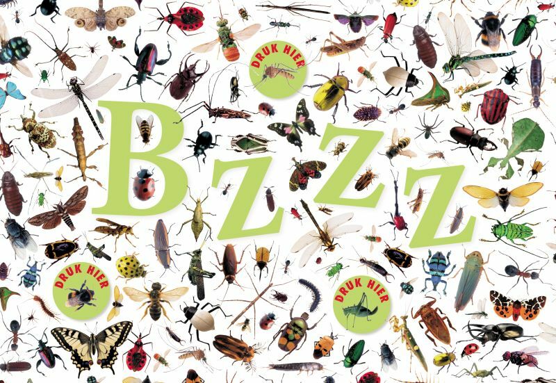 Bzzz - C. Bingham, Brooke Morgan, M. Robertson (ISBN 9789025743499)