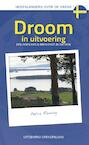 Droom in uitvoering - Petra Raming (ISBN 9789461850065)