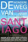 De wondere weg naar Santiago - Marlies van der Steeg (ISBN 9789402100389)